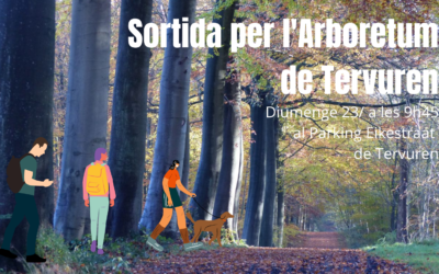 sortida per l’arboretum de tervuren