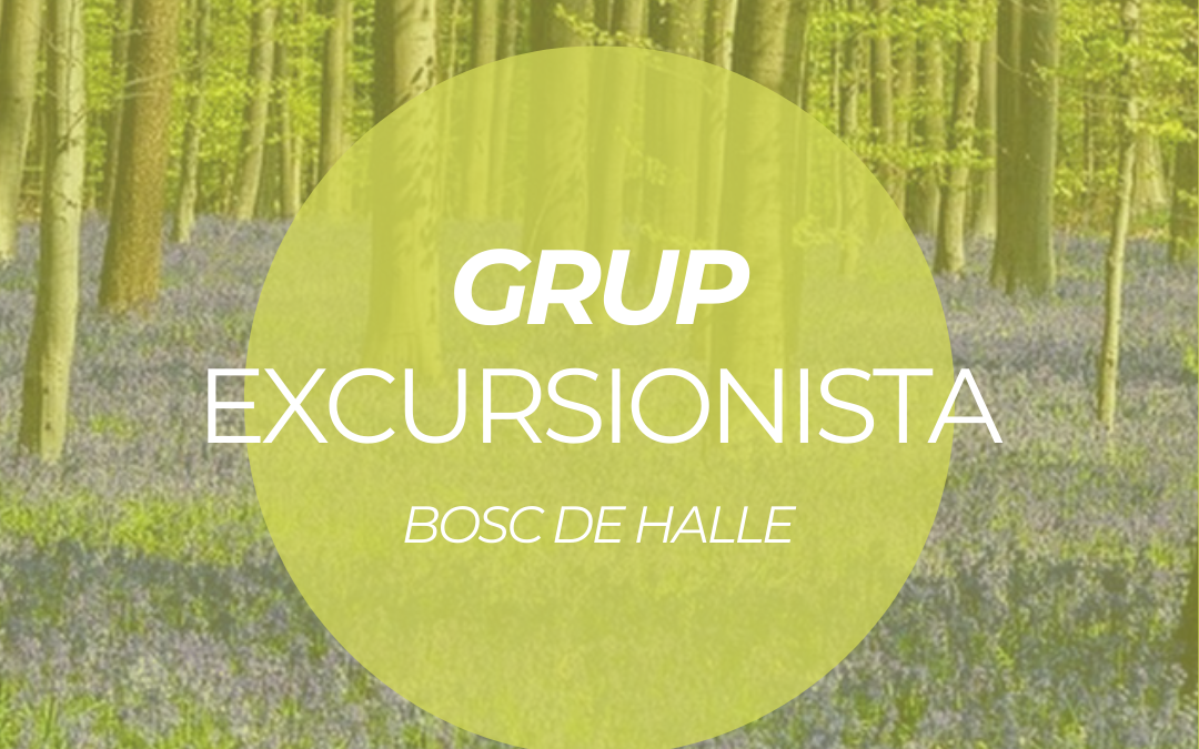 GRUP EXCURSIONISTA: Bosc de Halle