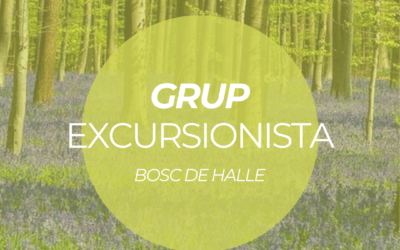 GRUP EXCURSIONISTA: BOSC DE HALLE
