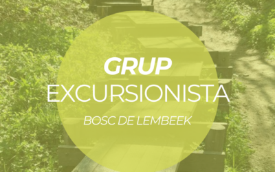GRUP EXCURSIONISTA: BOSC DE LEMBEEK