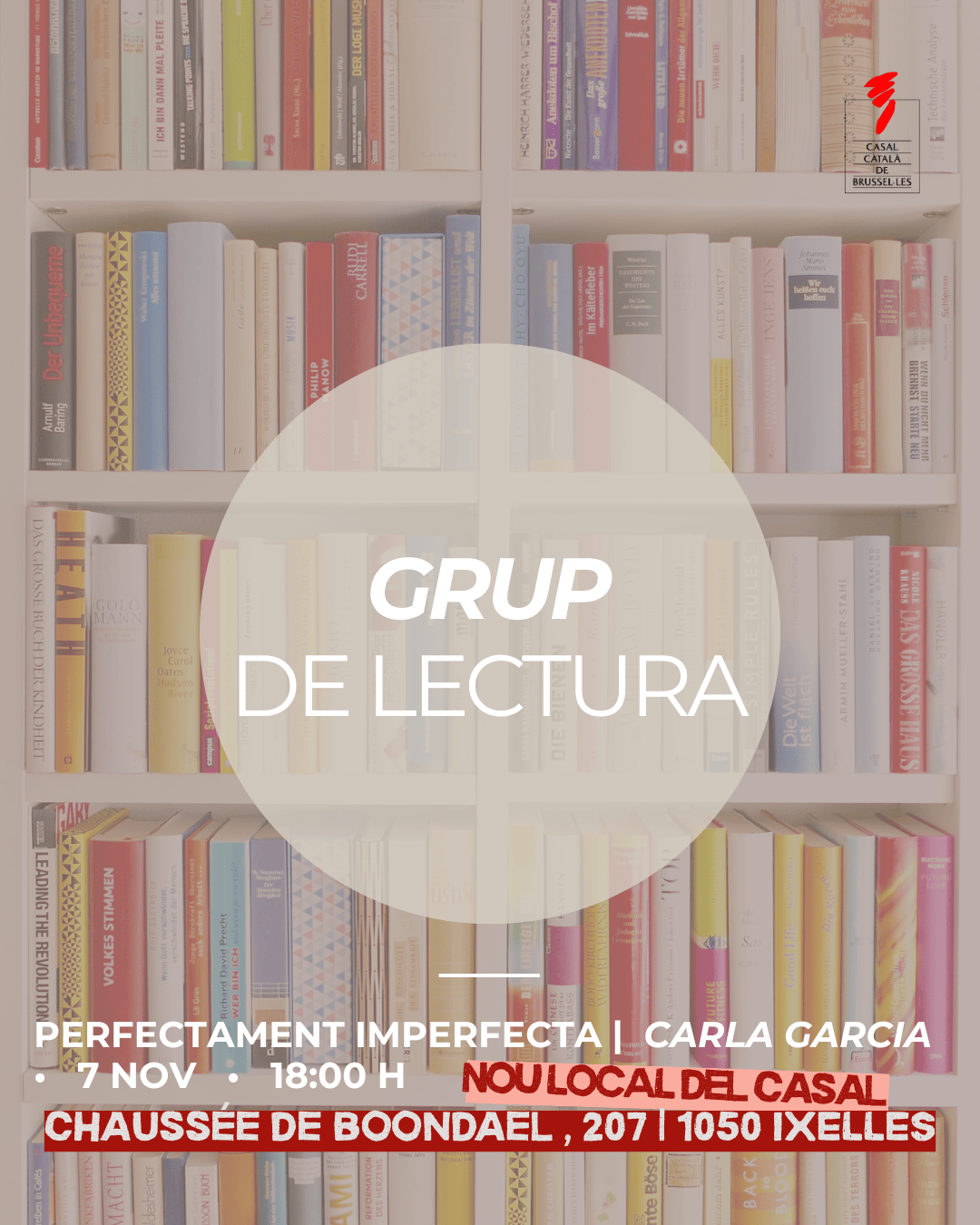 GRUP DE LECTURA (17)