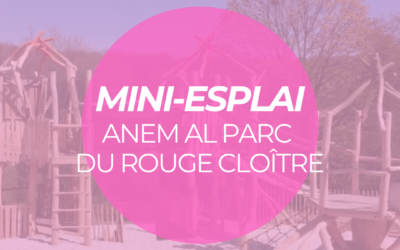 MINI-ESPLAI AQUEST MES DE SETEMBRE